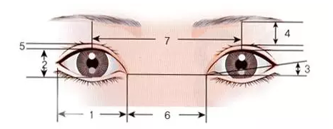 眼部黄金角度 内外眦连线与水平线夹角以10°左右为美.